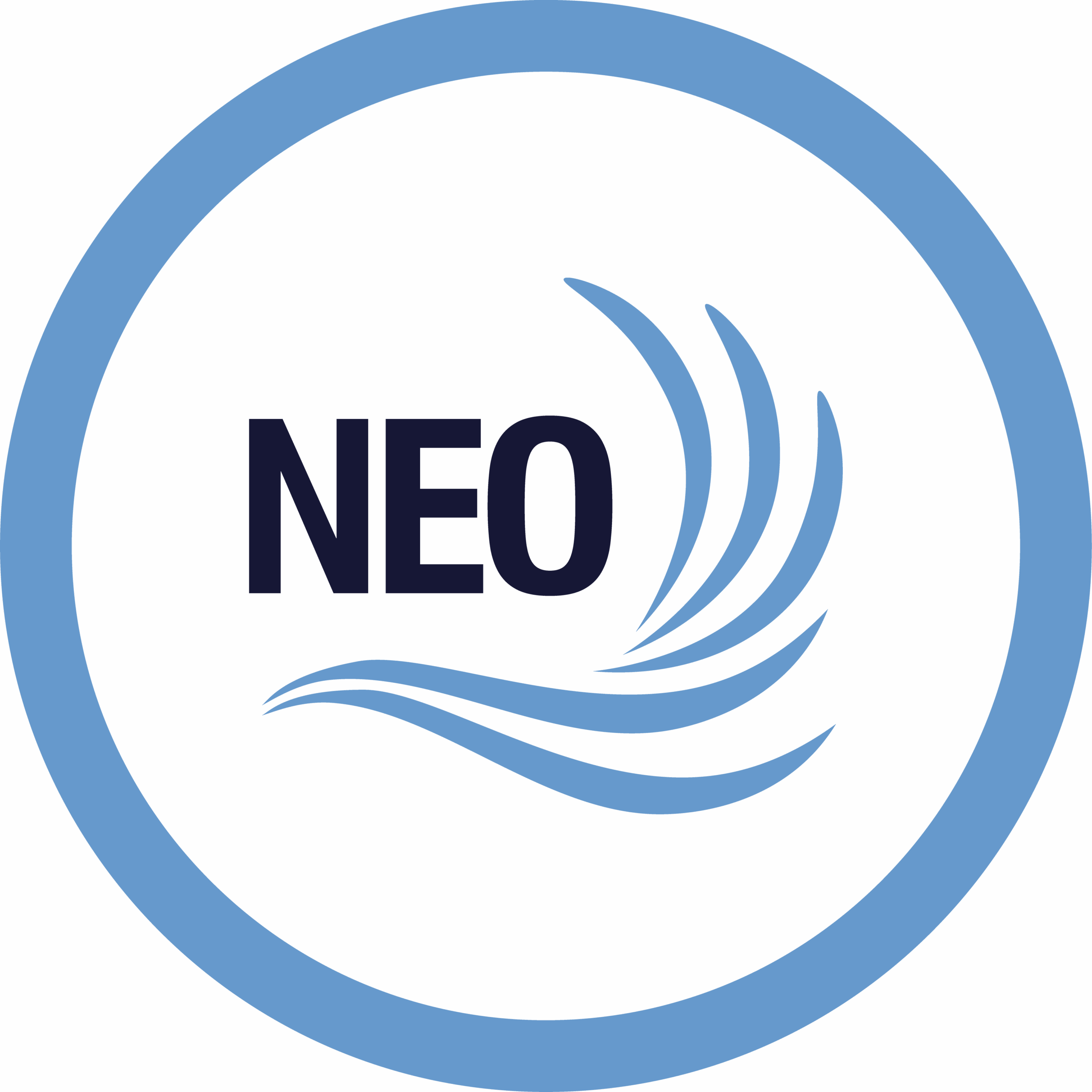 Proyecto NEO